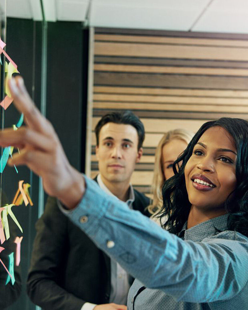 Organizations and teams